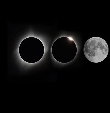 3 Ağustos doğumlu kişiler hangi burç olduklarını merak etmekte ve öğrenmek için çeşitli kaynaklara başvurmaktadır. Peki 3 Ağustos burcu nedir? Yazımızın devamında…