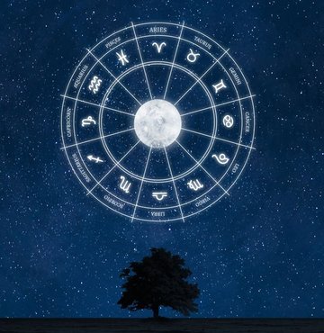 12 Kasım insanlar son derece kararlıdır ve hedeflerine ulaşmak için azimli bir şekilde çalışırlar. Kendilerine belirledikleri amaçlara ulaşmak için kararlılıkla ilerler ve pes etmezler. Aynı zamanda duygusal olarak da derindirler ve hissettiklerini yoğun bir şekilde yaşarlar. Peki, 12 Kasım hangi burç? 12 Kasım burcu ne? 12 Kasım yükseleni nedir?