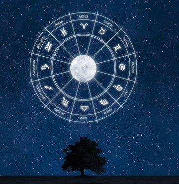 Yay burcunun son günü olan 21 Aralık burç yorumu pek çok kişi tarafından merak edilmektedir. Peki 21 Aralık burcunun özellikleri nelerdir? Yükselen burcu nedir? Detaylar yazımızda…